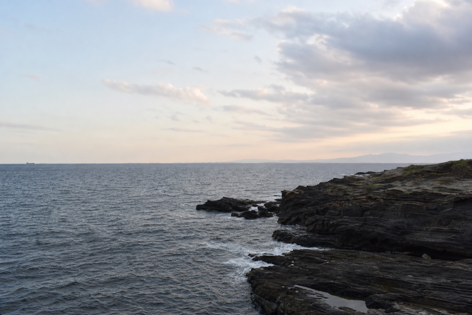 城ヶ島まで行って、ほとんど撮れずに帰ってきた